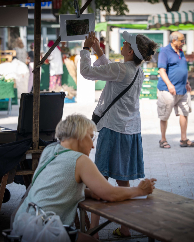 text: >
  Petra Spielhagen hält seine Fotos in
  die Höhe, und eine Frau sitzt auf dem
  Tisch und schreibt eine Geschichte
decorative: false
source: reviewed