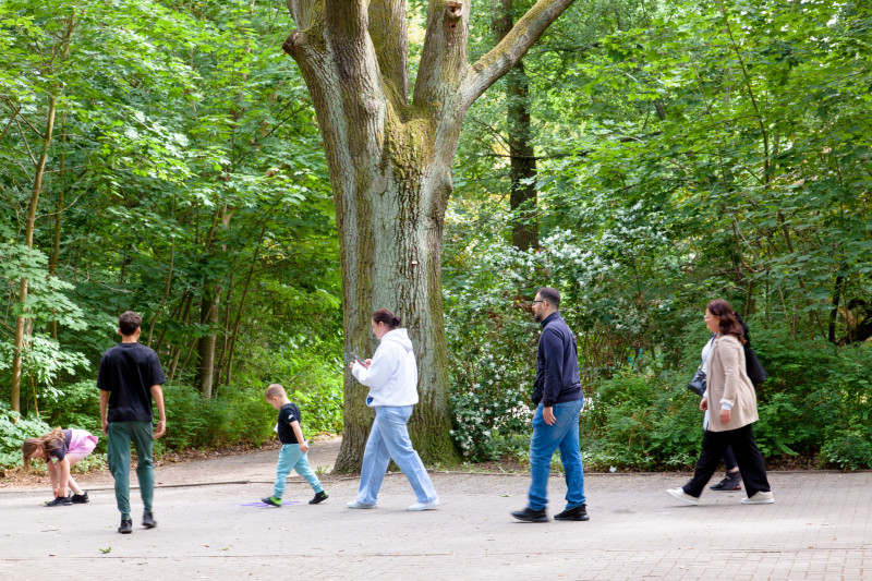 text: >
  Gruppe von Erwachsenen und Kindern
  spaziert unter großen Bäumen auf einer
  Parkweg
decorative: false
source: reviewed